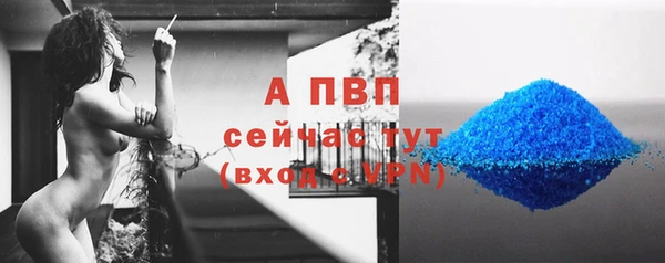 PSILOCYBIN Волоколамск