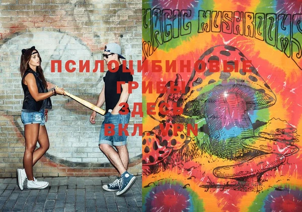 гидропоника Вязьма