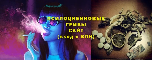 PSILOCYBIN Волоколамск