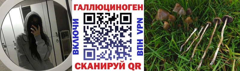 магазин  наркотиков  Зуевка  Галлюциногенные грибы Magic Shrooms 